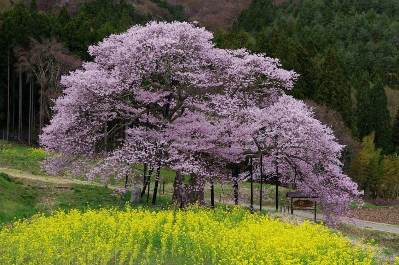 Ryokan Warabino Takayama  Εξωτερικό φωτογραφία